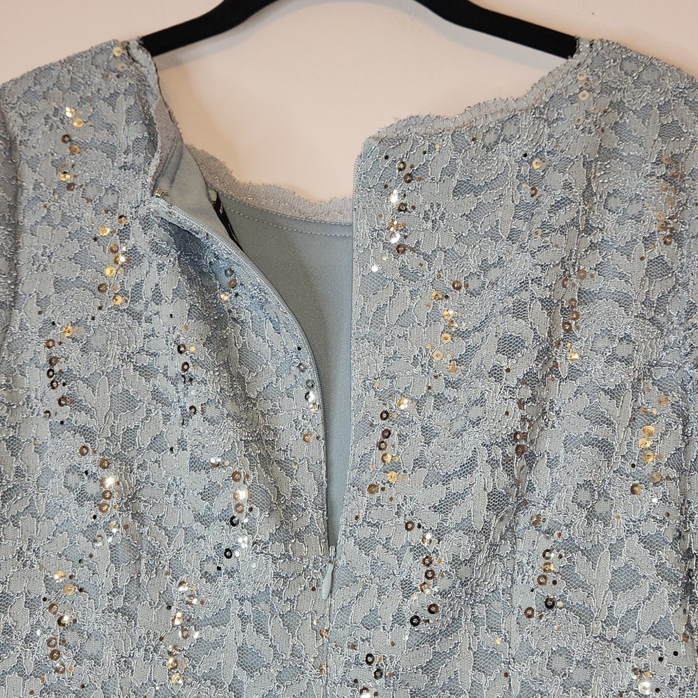 ALEX EVENINGS Long Gown Sequin Lace Bodice & Chifon Skirt, 8P - Picture 6 of 16